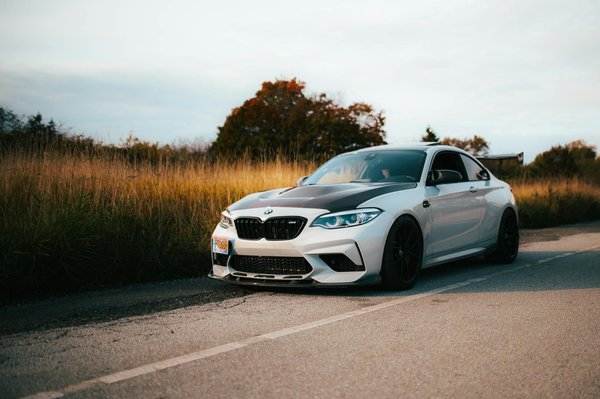 Hundeerziehung leicht gemacht: wie sie das graben und scharren ihres vierbeiners im garten stoppen!